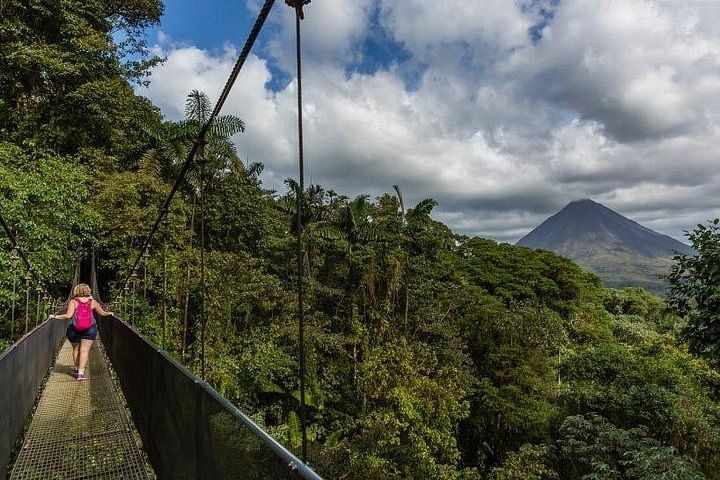 Toucans tours in guanacaste area, costa rica